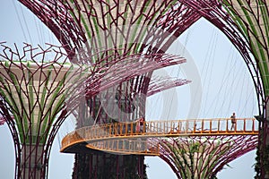 OCBC Skyway - Singapore